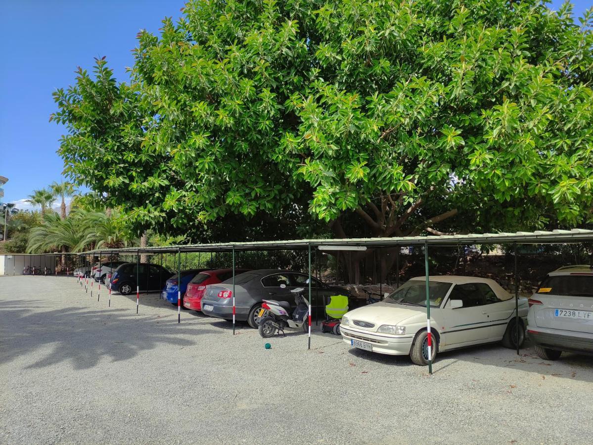 Albir Cosy Apartment El Albir Exterior photo
